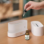 Charger l'image dans la galerie, Luftbefeuchter "cozy flames"
