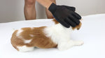 Charger et lire la vidéo dans la visionneuse de la Galerie, Gants pour poils d'animaux

